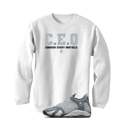 Air Jordan 14 “Flint Grey” | illcurrency White T-Shirt (CEO)