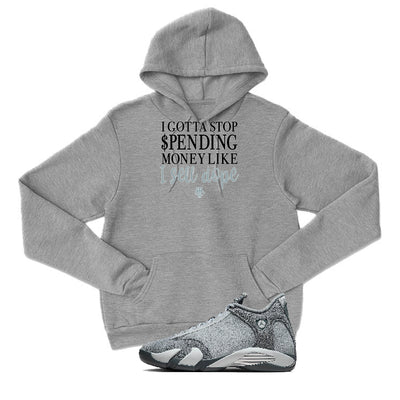 Air Jordan 14 “Flint Grey” | illcurrency Grey T-Shirt (STOP SPENDING MONEY)