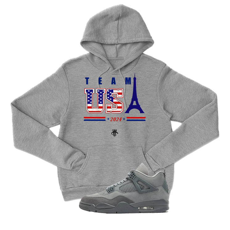 Air Jordan 4 Paris Olympics Grey T-Shirt (Team USA 2024)| illcurrency