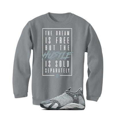 Air Jordan 14 “Flint Grey” | illcurrency Grey T-Shirt (DREAM IS FREE)
